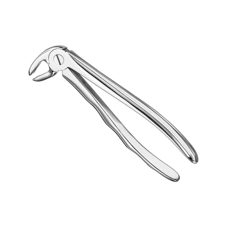 Extracting forceps, anat.